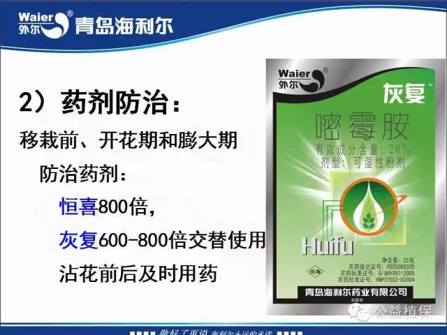 番茄管理解决方案