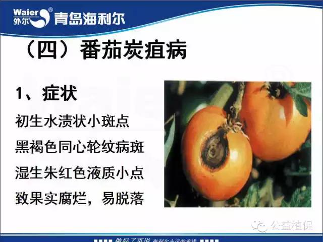 番茄管理解决方案