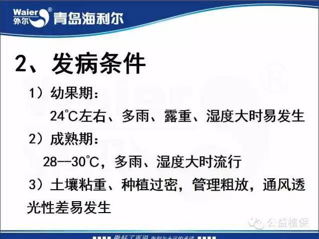 番茄管理解决方案