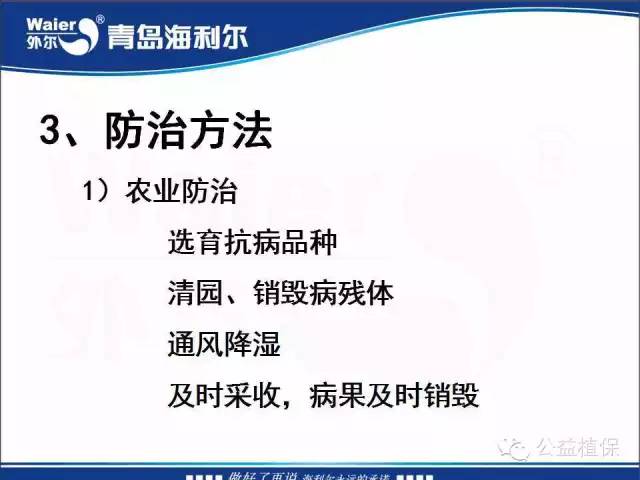 番茄管理解决方案