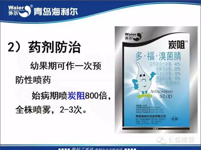 番茄管理解决方案