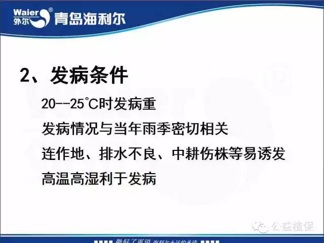 番茄管理解决方案