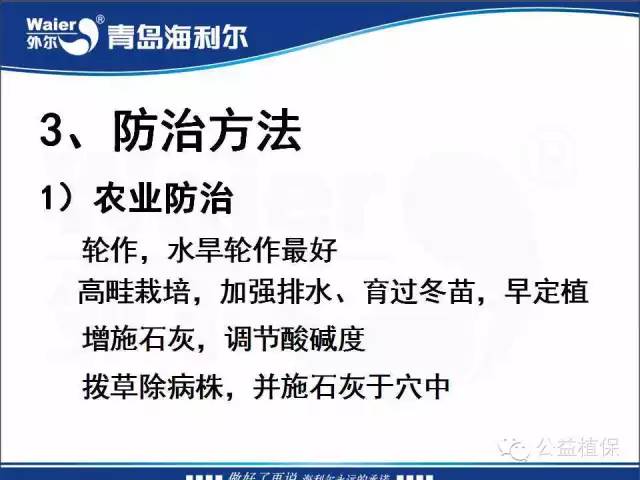 番茄管理解决方案