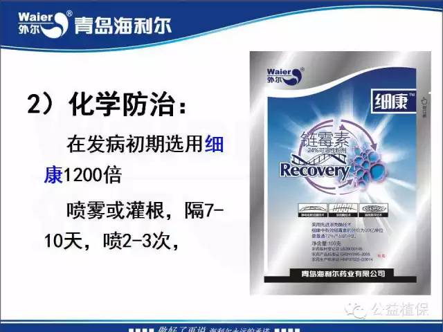 番茄管理解决方案