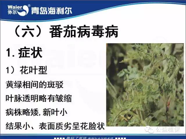 番茄管理解决方案