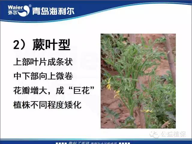 番茄管理解决方案