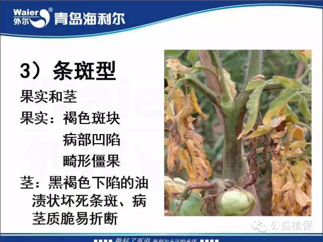 番茄管理解决方案