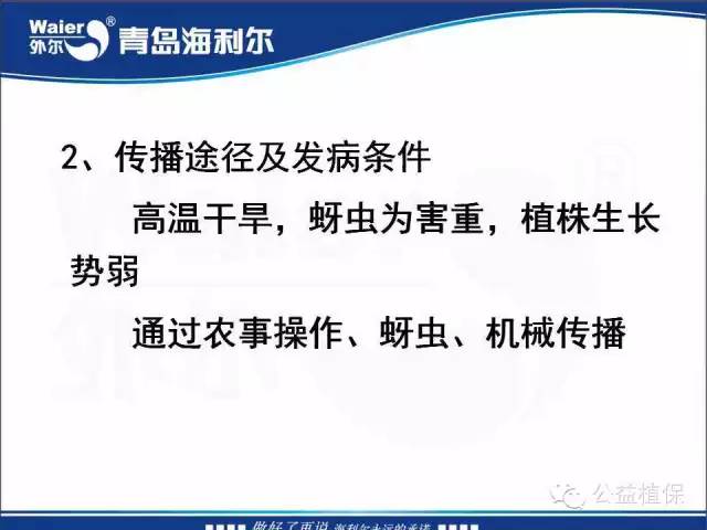 番茄管理解决方案