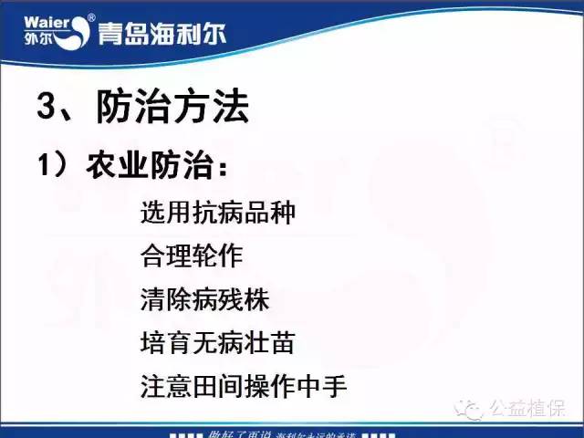 番茄管理解决方案