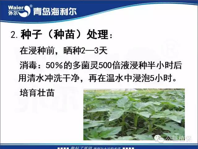 番茄管理解决方案