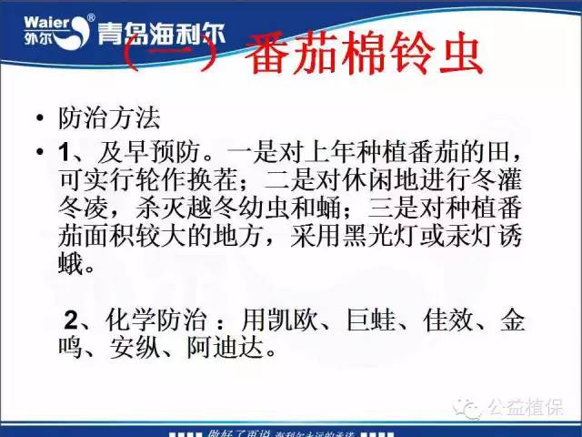 番茄管理解决方案