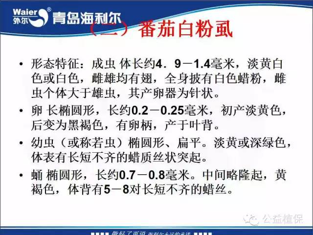 番茄管理解决方案