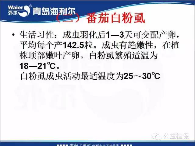 番茄管理解决方案