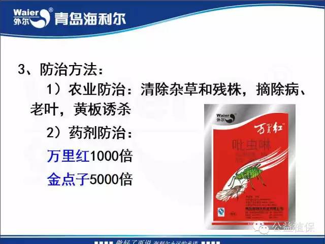 番茄管理解决方案