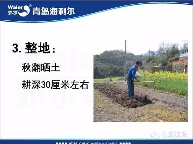 番茄管理解决方案