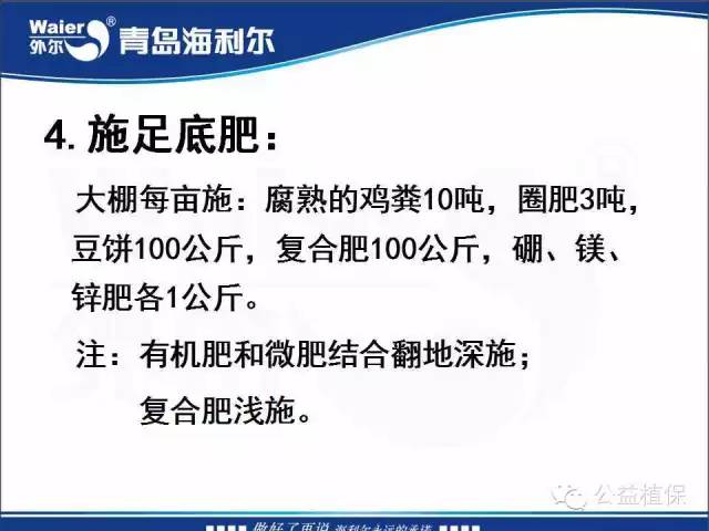 番茄管理解决方案