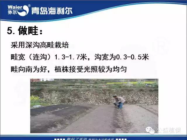番茄管理解决方案