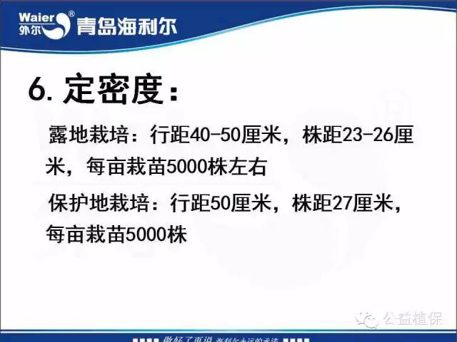 番茄管理解决方案