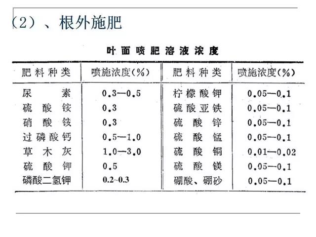 果园管理要点【精简版】