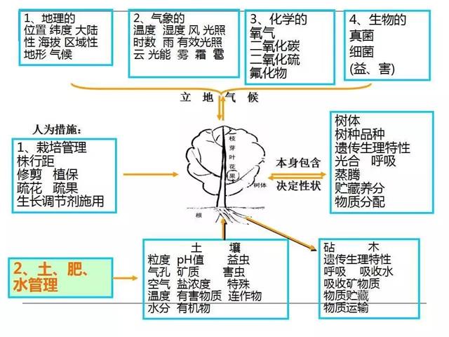 果园管理要点【精简版】