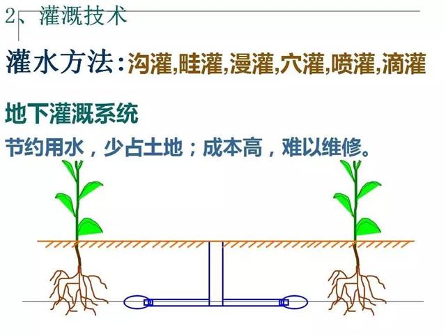 果园管理要点【精简版】