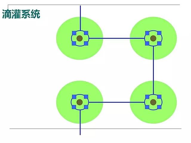 果园管理要点【精简版】