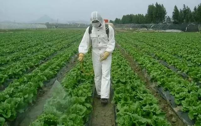 农药好配方防虫治病效果极佳