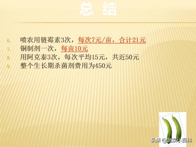 日光温室冬春茬黄瓜栽培技术