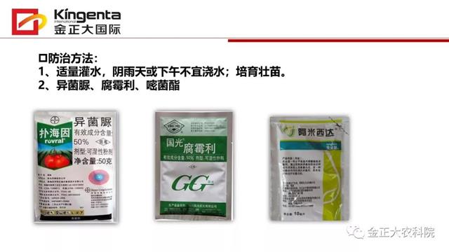 甜瓜植保简介