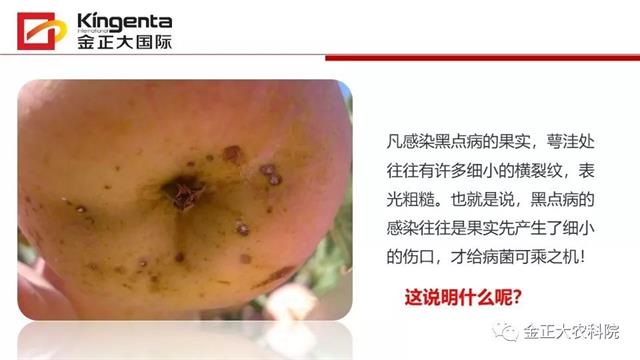 作物病虫害诊断及农药应用基础（上）