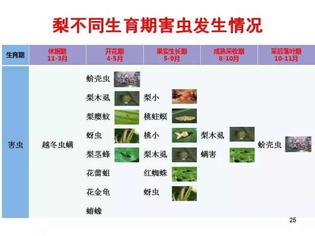 果树虫害发生规律图解