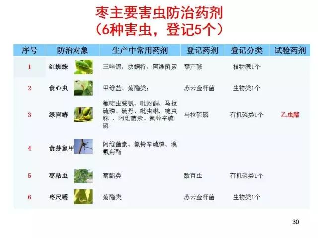 果树虫害发生规律图解