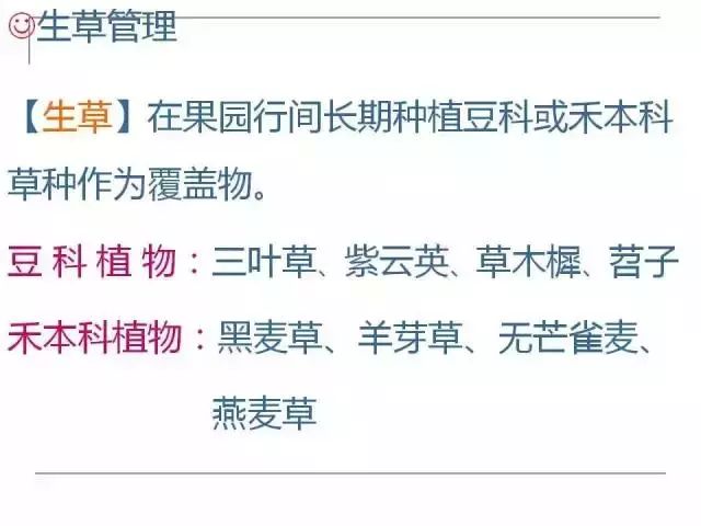 掌握果园的管理要点，农事工作才能事半功倍