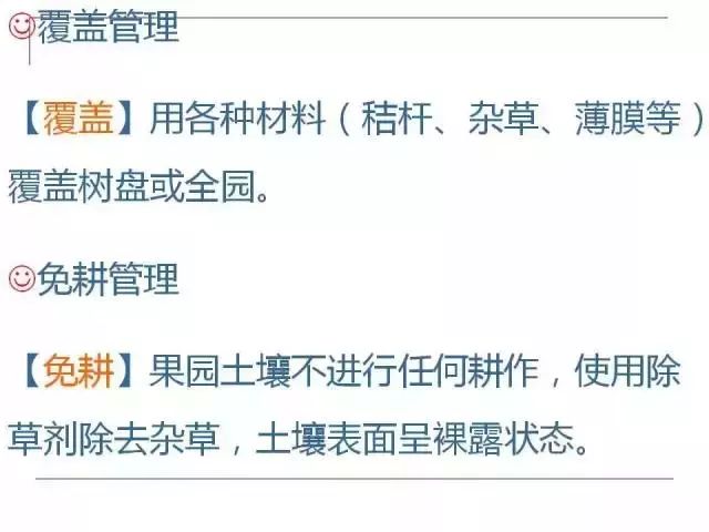 掌握果园的管理要点，农事工作才能事半功倍