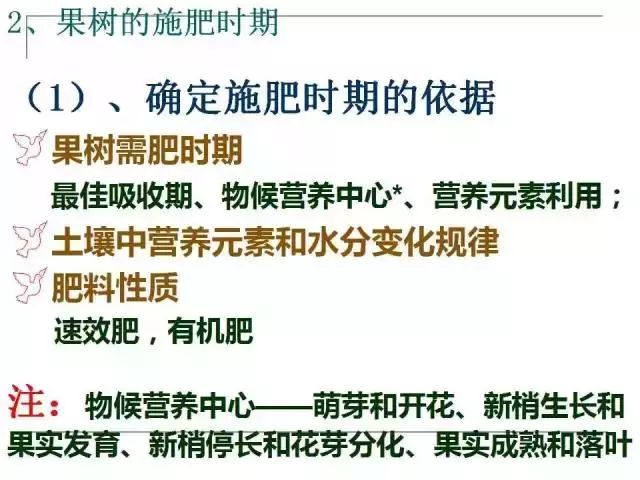 掌握果园的管理要点，农事工作才能事半功倍