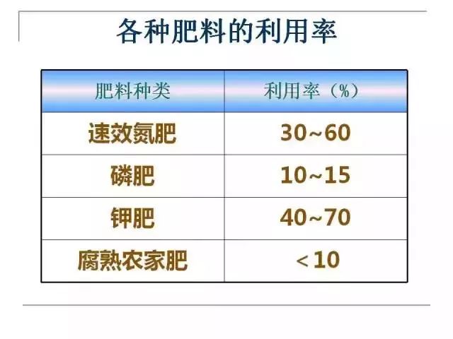 掌握果园的管理要点，农事工作才能事半功倍