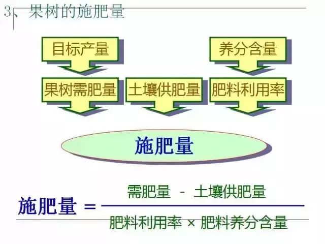 掌握果园的管理要点，农事工作才能事半功倍