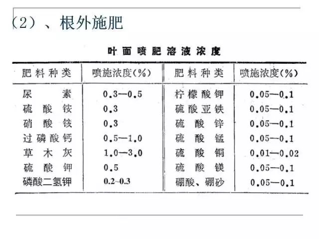 掌握果园的管理要点，农事工作才能事半功倍