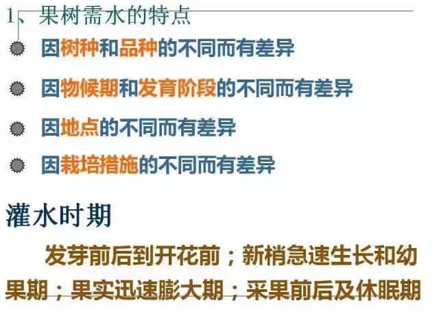 掌握果园的管理要点，农事工作才能事半功倍
