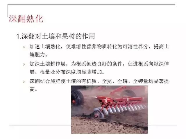 掌握果园的管理要点，农事工作才能事半功倍