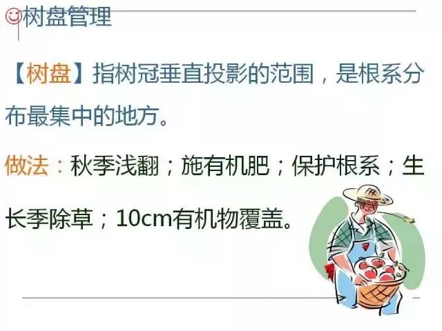 掌握果园的管理要点，农事工作才能事半功倍