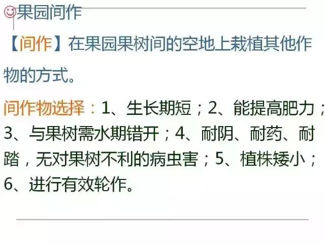 掌握果园的管理要点，农事工作才能事半功倍
