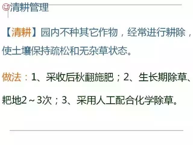 掌握果园的管理要点，农事工作才能事半功倍