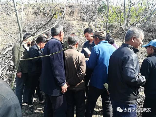 核桃树高接换头嫁接技术(视频)