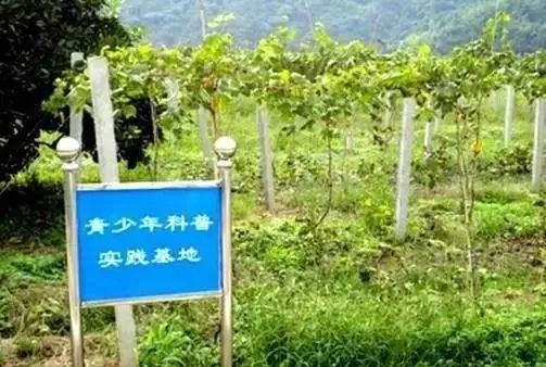 Kaiyun 开云休闲农业7大模式29种类型(图10)