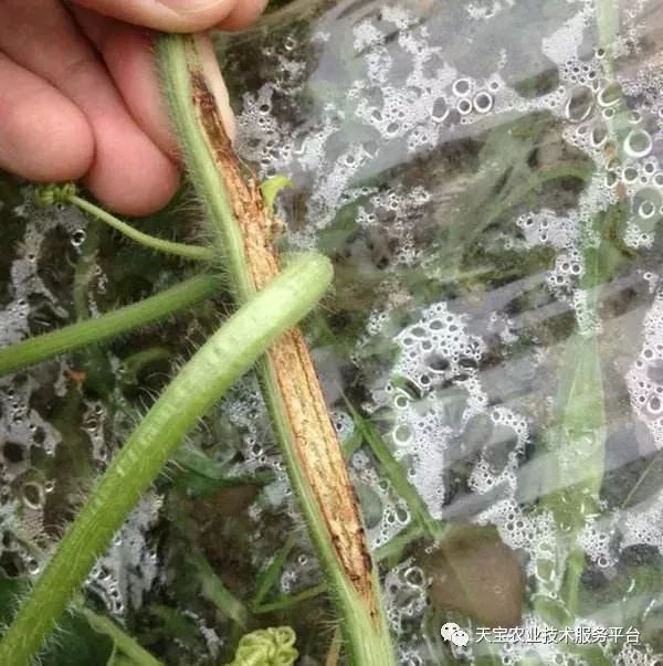 史上最全配药秘方