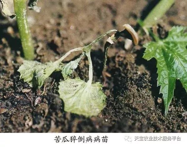 史上最全配药秘方