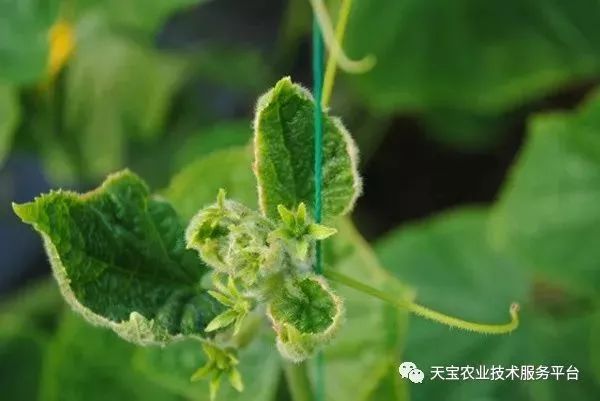 史上最全配药秘方