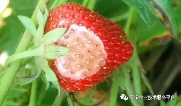 史上最全配药秘方