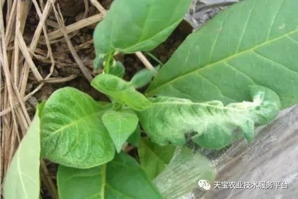 史上最全配药秘方